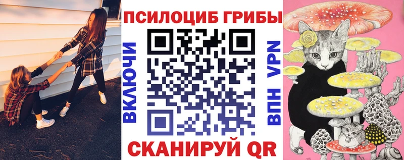 Галлюциногенные грибы ЛСД  что такое   Дальнегорск 